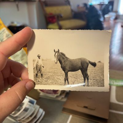 Sale Photo Thumbnail #24