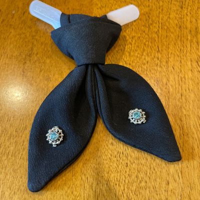 Ribbon bow tie