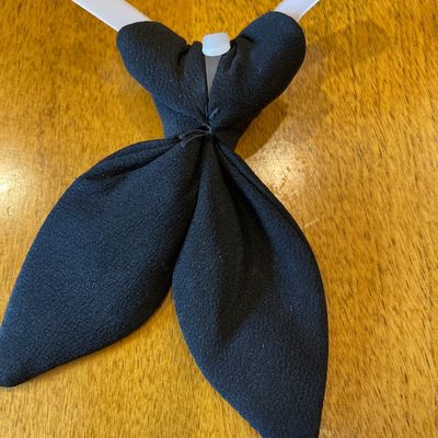 Ribbon bow tie