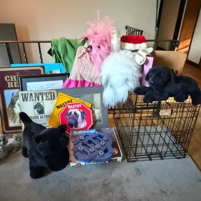Estate sale photo