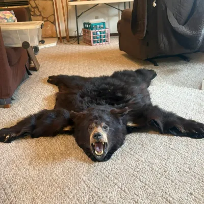 Bear Rug