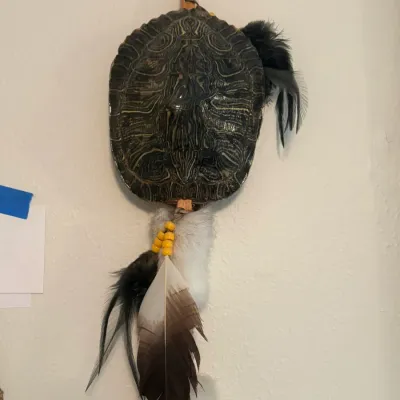 Turtle Rattle