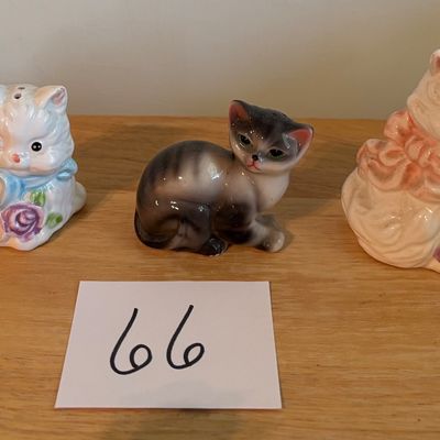 Cat Shaker Lot