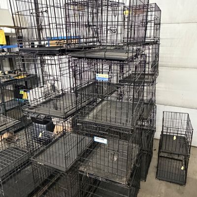 Sale Photo Thumbnail #5: 1-Metal Pet Crates and Plastic Pet Carriers

Some do have rust, some have more than one door, all will need to be cleaned.

Metal Crates of Varying Sizes x 22
Plastic Carriers of. Carrying Sizes x 5