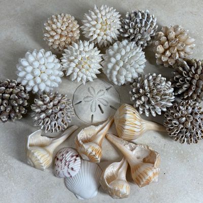Sale Photo Thumbnail #55