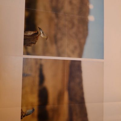 Sale Photo Thumbnail #17