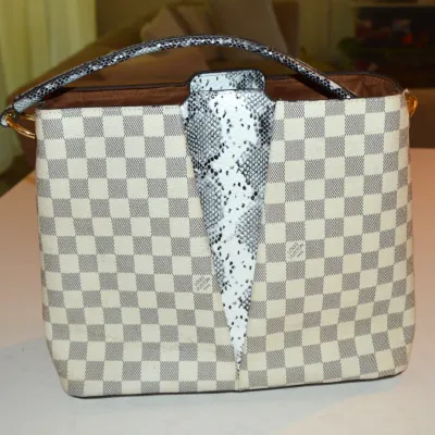 Louis Vuitton Purse