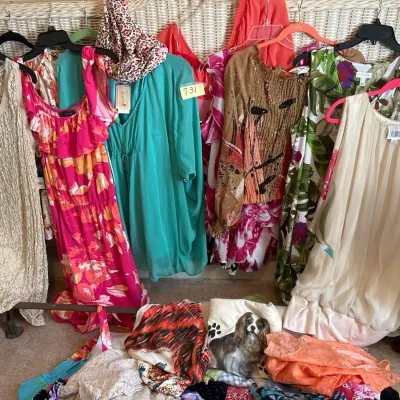 Sale Photo Thumbnail #1447