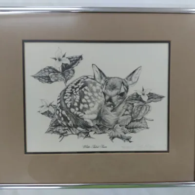 Sale Photo Thumbnail #55