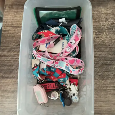Assorted collection of colorful lanyards, keychains, and ID holders, including themed designs from Universal Studios and "The Secret...