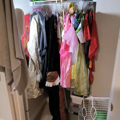 Assortment of children's dress-up costumes and accessories hanging in a closet, including princess dresses and superhero outfits.