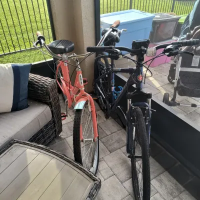 Two Schwinn bicycles, including a coral-colored cruiser and a dark blue hybrid model, parked on a patio.