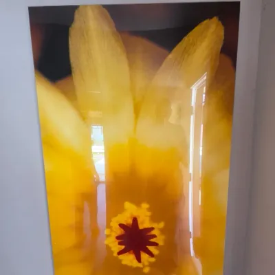 Sale Photo Thumbnail #30