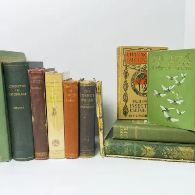 Antique Books on Insects & Entomology - Lot 2 of 2