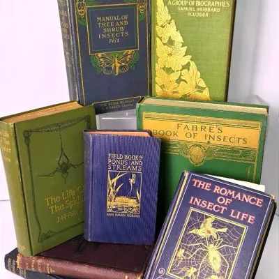Antique Books on Insects & Entomology - Lot 1 of 2
