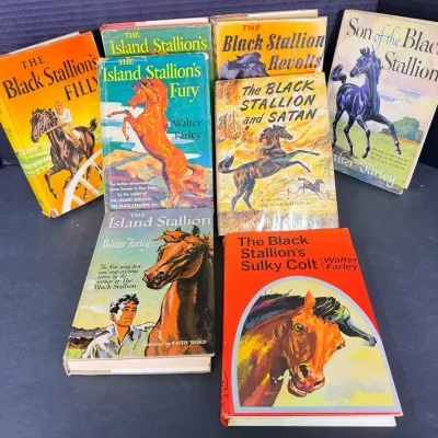 Vintage Walter Farley Stallion Series Hardcover Book Set - 8 Volumes
