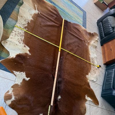 Sale Photo Thumbnail #24: Cow hide from Wyoming 