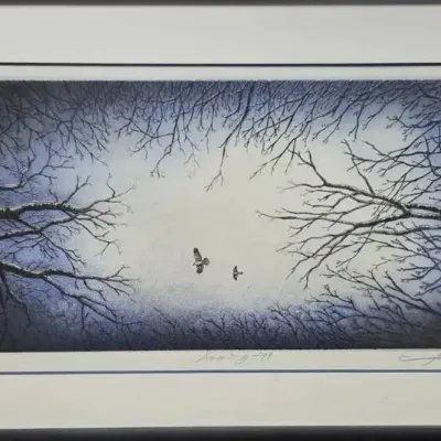 Lithograph Signed And Framed Etching