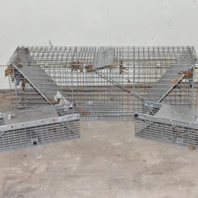 Animal Cages 