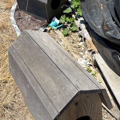 Sale Photo Thumbnail #28