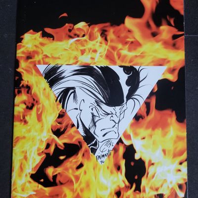 Sale Photo Thumbnail #268: I04018 | Signed Ash Comic and Limited Insert