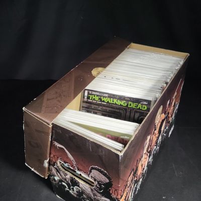 Sale Photo Thumbnail #161: I04623 | Walking Dead Comic Book Collection