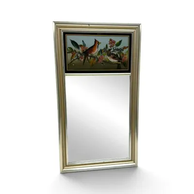 Mirror w/ Cardinal Panel (26” x 15")