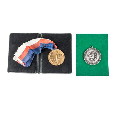 Sale Photo Thumbnail #251: 2 Czechoslovakian Table Medals & Badge Pin Book