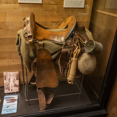 Sale Photo Thumbnail #97: McClellan Saddle And Attachments