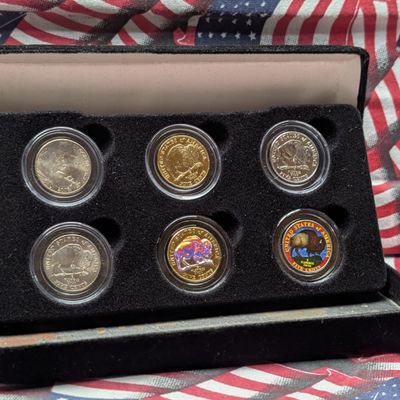 Sale Photo Thumbnail #246: (6) (LAYERED/Colorized) 2005 Jefferson Bison Nickels in Display
