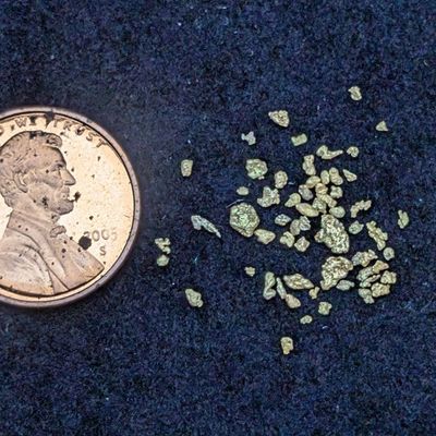 Sale Photo Thumbnail #414: 0.46 Grams of SOLID GOLD Nuggets! - Penny Not Included, Shown For Size Comparison