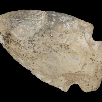 Sale Photo Thumbnail #321: 2 3/8" Dovetail, Alabama, Ex. Walt McIntire Collection