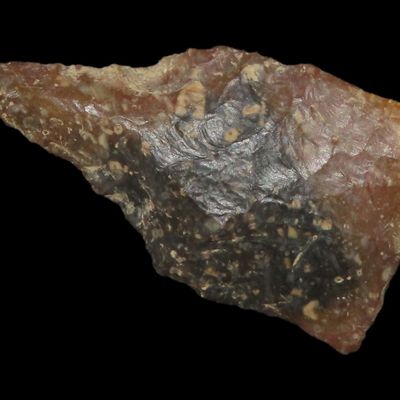 Sale Photo Thumbnail #309: 1 5/8" Paleo Drill, Montana, Heavily Ground Base, Ex. Walt McIntire Collection