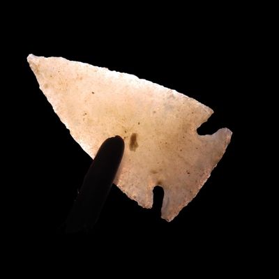 Sale Photo Thumbnail #87: 1 1/2" Notched Point, Durango, Mexico