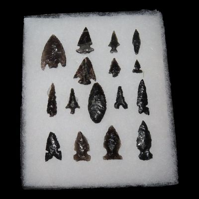 Sale Photo Thumbnail #256: 5" x 6" Riker Frame Containing Obsidian Arrowhead From Nevada