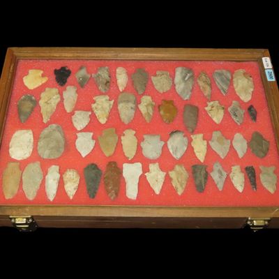 Sale Photo Thumbnail #352: 12" x 18" Wooden Display Case Containing 48 Points from Midwestern States