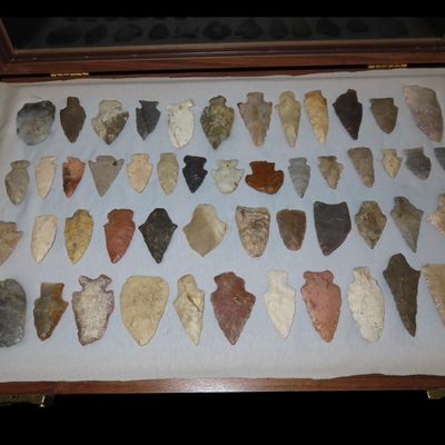 Sale Photo Thumbnail #290: 12" x 18" Wooden Display Case Containing 51 Points from Around the Midwest