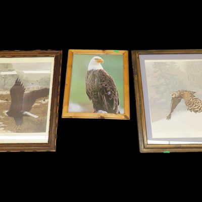 Sale Photo Thumbnail #396: Lot of 3 Framed Artworks, 2 Depicting Bald Eagles and 1 Depicting an Owl