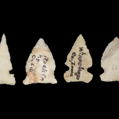 Sale Photo Thumbnail #170: Lot of 4 Well-Made Bird Points, Kansas