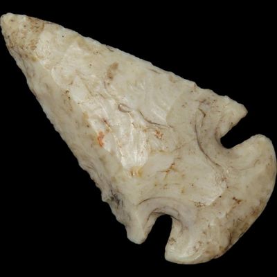 Sale Photo Thumbnail #273: 2 5/16" Dovetail, Burlington Chert, St. Louis Co., Missouri, Well Formed