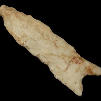 Sale Photo Thumbnail #223: 3 3/16" Fluted Paleo Point / Dalton Type, Warren Co., MO