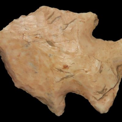 Sale Photo Thumbnail #316: 1 5/8" Hardin, Tennessee, Archaic Arrowhead, Ex. Walt McIntire Collection