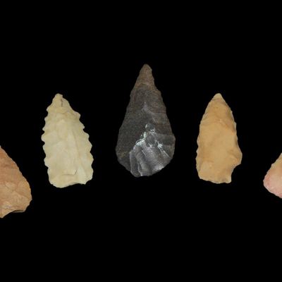 Sale Photo Thumbnail #31: Lot of 5 Bird Points, Central Missouri