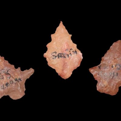 Sale Photo Thumbnail #155: Lot of 3 Catahoula Bird Points, Texas
