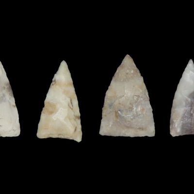 Sale Photo Thumbnail #183: Lot of 4 Triangular Bird Points, Fulton Co., Illinois