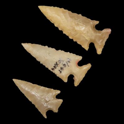 Sale Photo Thumbnail #194: Lot of 3 Outstanding Scallorn Bird Points, West Texas