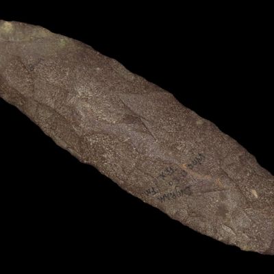 Sale Photo Thumbnail #58: 8 3/8" Adze, Rhyolite, Baxter Co., Missouri