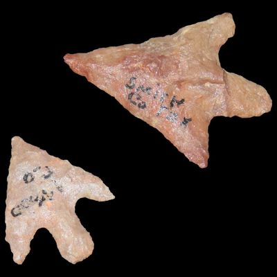 Sale Photo Thumbnail #139: Lot of 2 Perdiz Points, Texas
