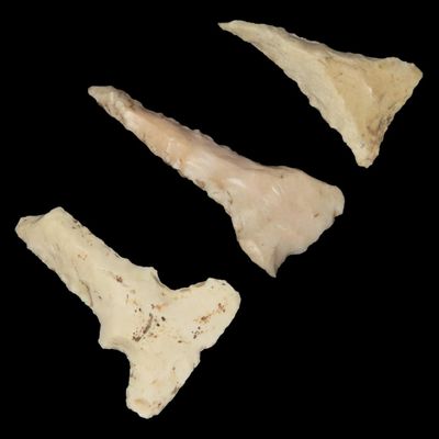 Sale Photo Thumbnail #26: Lot of 3 Drills, Ralls Co., Missouri