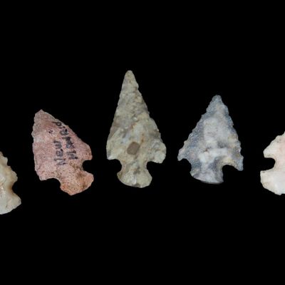 Sale Photo Thumbnail #19: Lot of 5 Well-Made Scallorn Bird Points